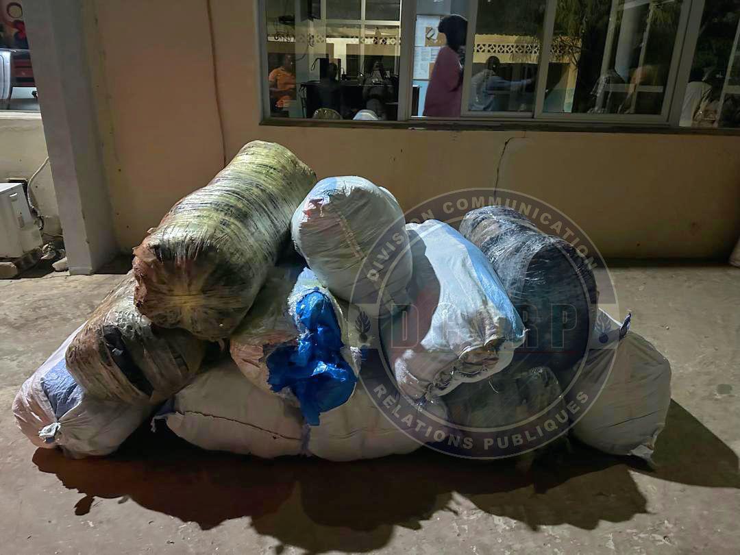 Mbour : Plusieurs arrestations après la saisie de plus de 800 kg de drogue