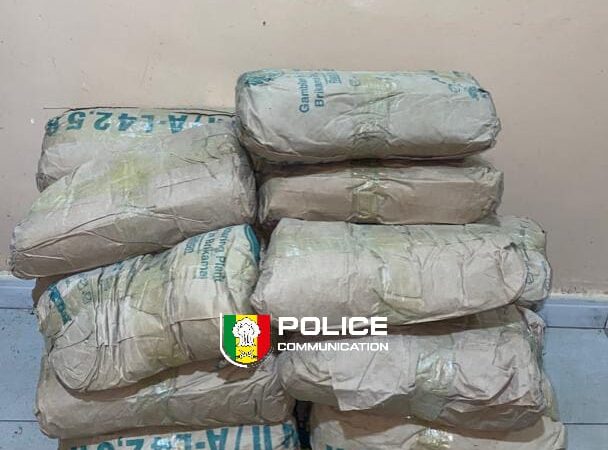 Kaolack : 25 kg de chanvre indien saisis, un suspect arrêté à Guinguinéo !