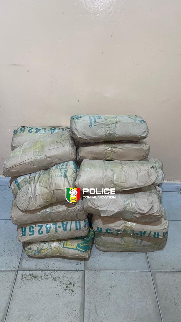 Kaolack : 25 kg de chanvre indien saisis, un suspect arrêté à Guinguinéo !