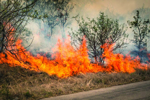 Feux de brousse : près de 48 % des foyers de la semaine se concentrent dans ces trois départements