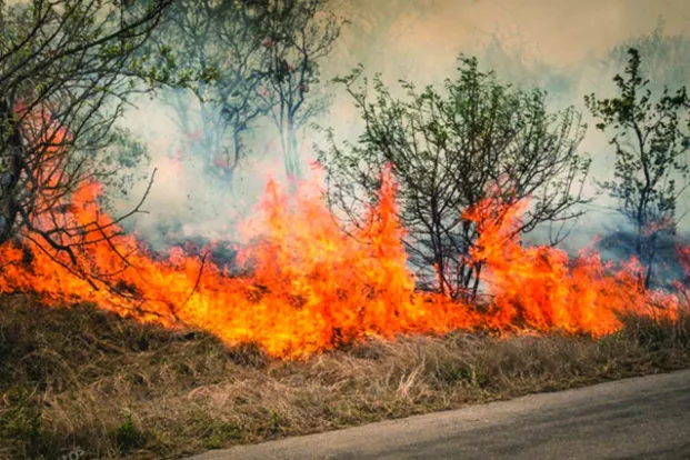 Feux de brousse : près de 48 % des foyers de la semaine se concentrent dans ces trois départements