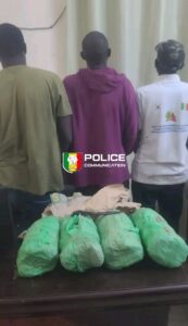 Fatick : Interpellation de trois individus pour association de malfaiteurs et trafic de stupéfiants