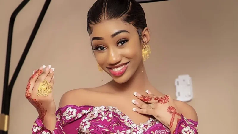 Carnet rose pour Bb Binta : le sexe de son nouveau-né dévoilé malgré le silence officiel du couple