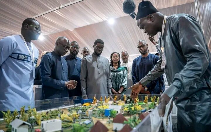 Souveraineté alimentaire : Diomaye Faye affiche sa “profonde conviction” à la FIARA