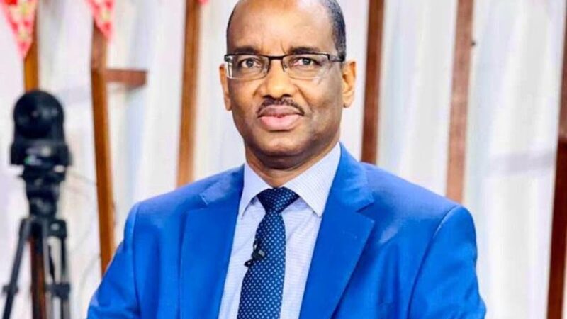 Un baril à 45 dollars : l&rsquo;argument de Youga Sow pour écarter le pétrole au profit d&rsquo;une autre ressource nationale