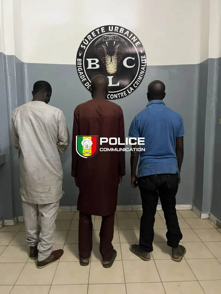 Trafic de Tramadol brisé à Dakar et le nombre de pilules saisies à la Médina