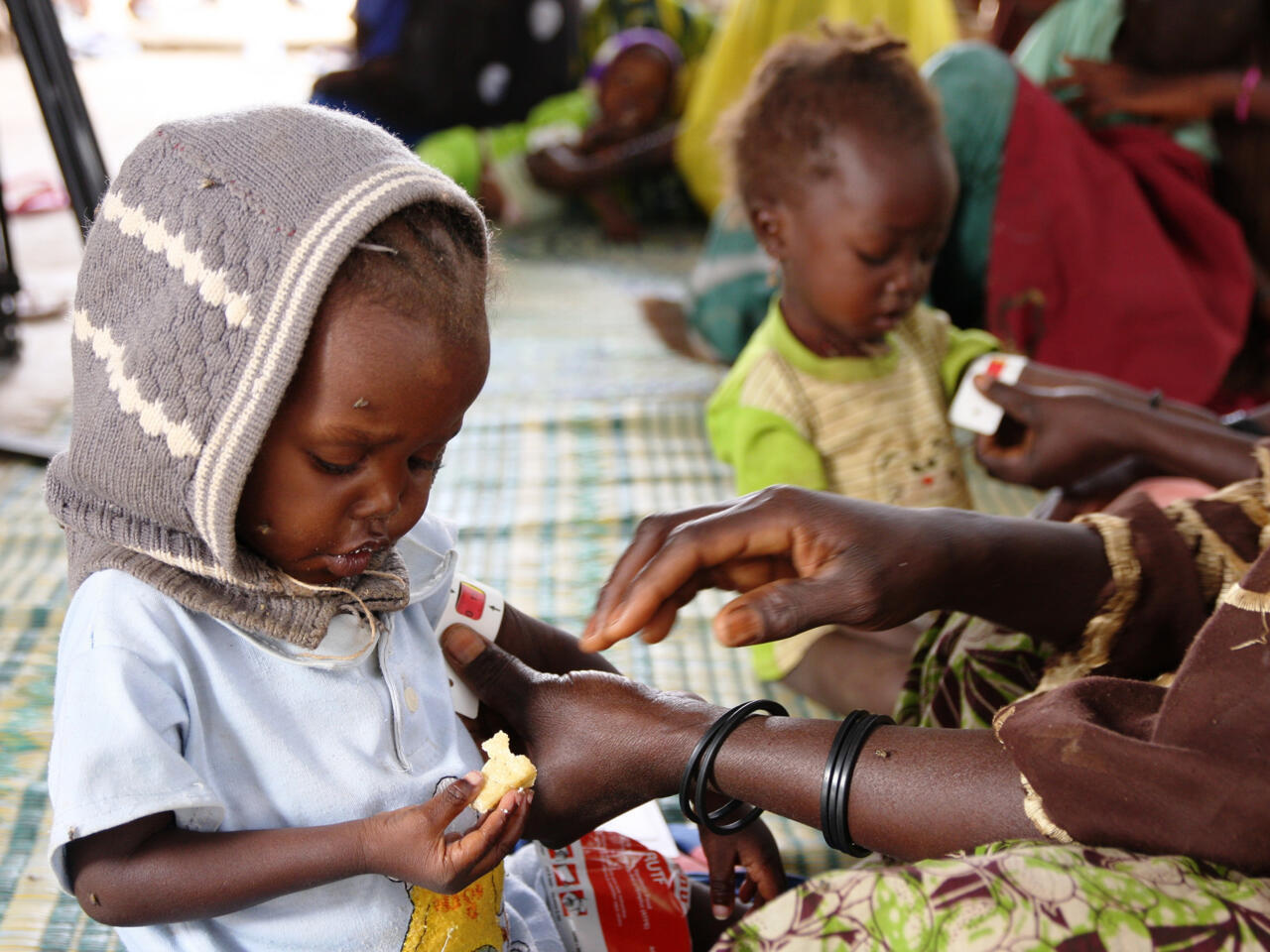 Crise alimentaire à Diourbel : La faim menace des milliers de familles