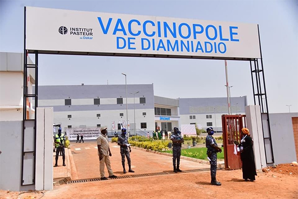 Phase 2.0 de l’ARNm au Sénégal : l’Institut Pasteur ciblera deux autres pathologies au-delà des vaccins