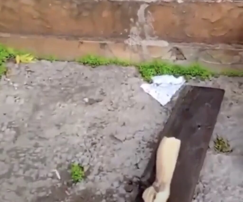 Le commandement israélien chargé d'enquêter sur le soldat ayant vandalisé la statue