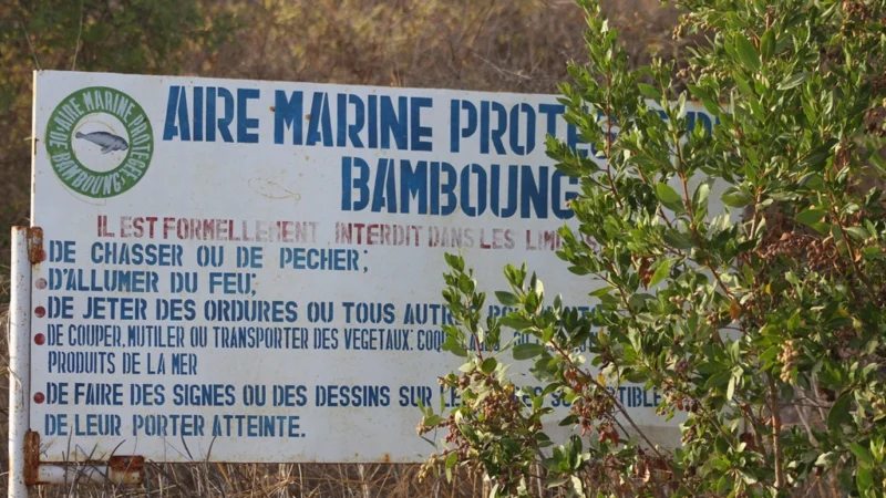Gouvernance des aires marines à Dakar et le facteur entravant leur fonctionnement relevé par la FAO