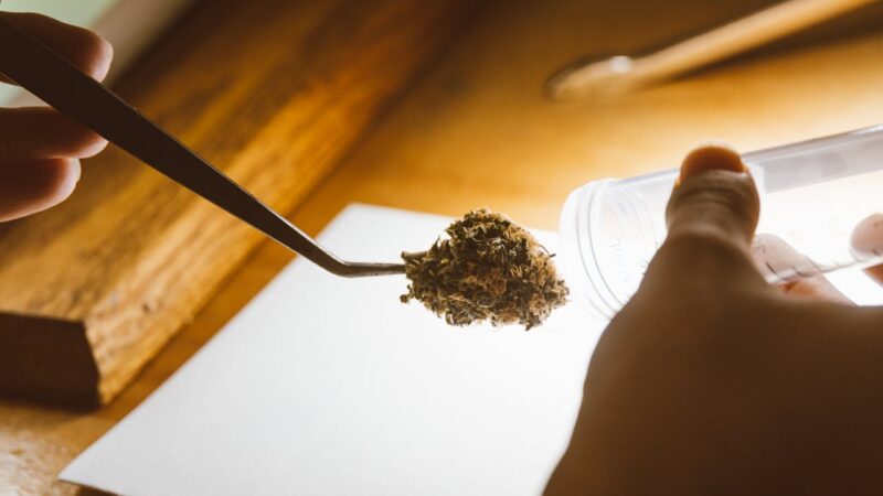 Reclassification fédérale de la marijuana et les deux substances partageant son nouvel échelon aux États-Unis