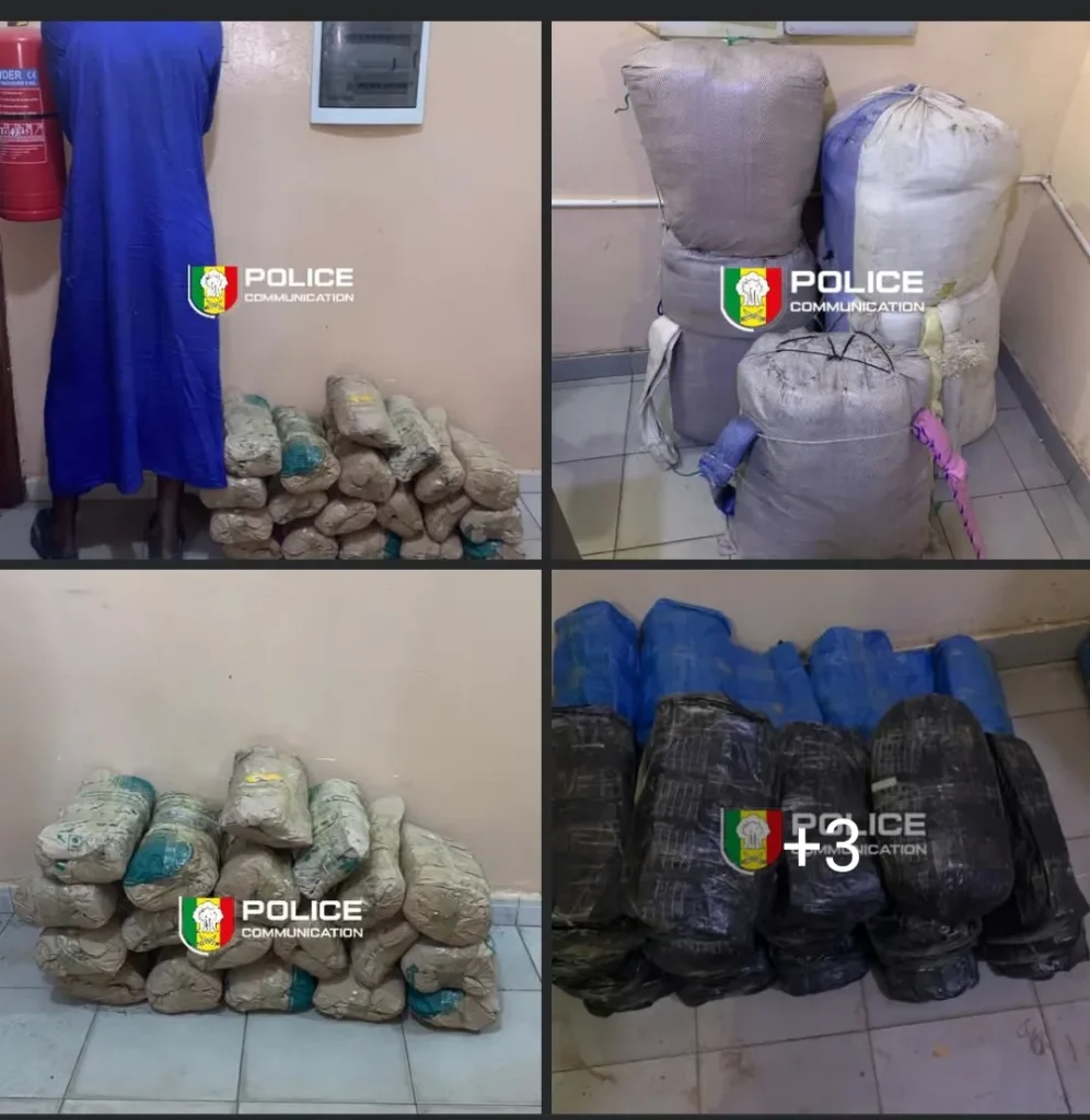 Un motard arrêté avec 19 kg de chanvre et le reste de la marchandise abandonné à Sokone
