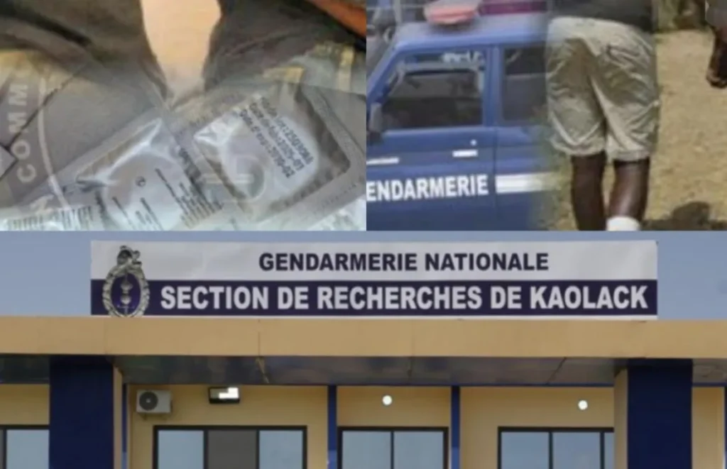 Réseau de mineurs démantelé à Kaolack et la profession du suspect en fuite