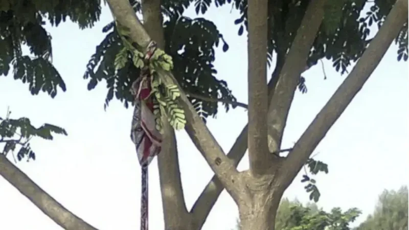 Linguère : un maçon retrouvé pendu en brousse, la piste encore non écartée