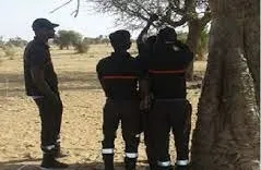 Linguère : la blessure confirmée après la mort violente d’un berger de 25 ans