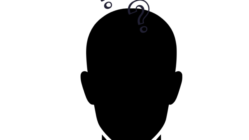 TIME 100 2026 : la catégorie dans laquelle Mamadou Amadou Ly a été distingué