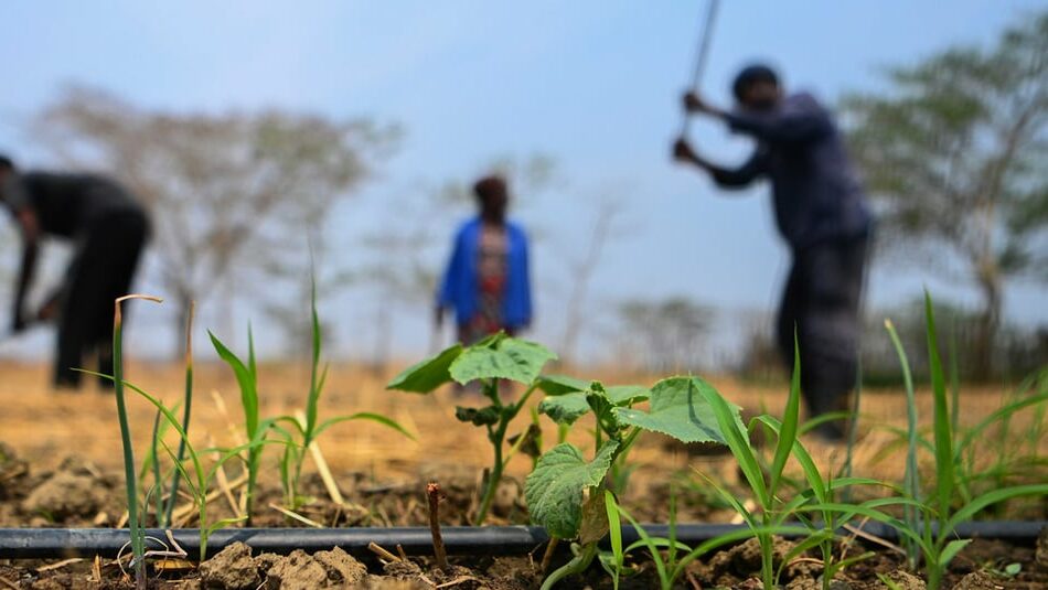 RDC : la BAD débloque 48,83 millions de dollars et le nombre de centres de santé prévus