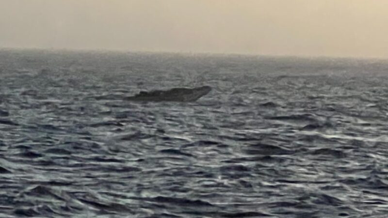 Sauvetage en haute mer: 132 migrants interceptés à 150 km de Dakar