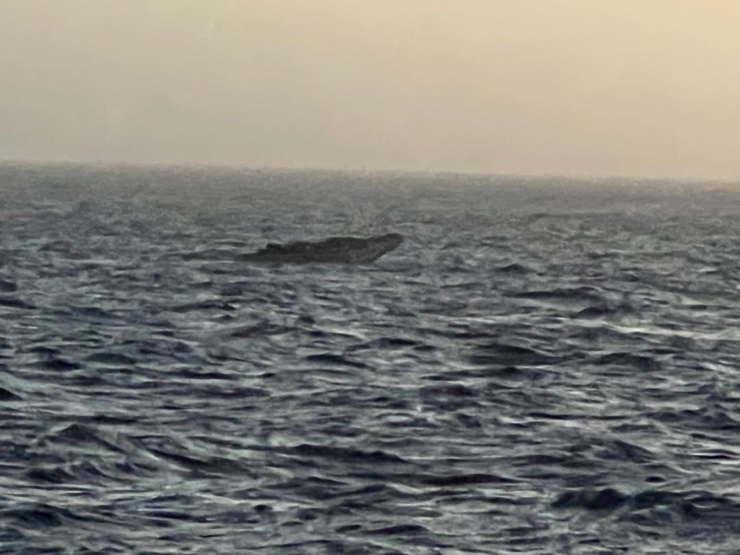 Sauvetage en haute mer: 132 migrants interceptés à 150 km de Dakar