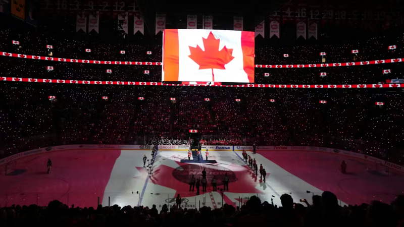 Comment les fans de sport canadiens utilisent les outils numériques pour suivre chaque match, statistique et classement