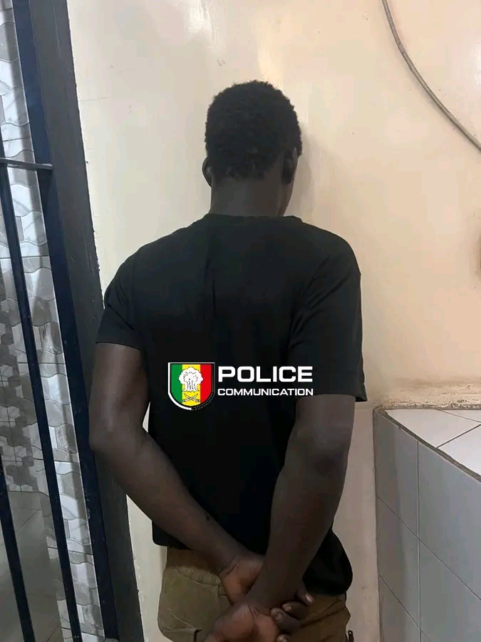 HLM : Interpellation d’un individu pour coups et blessures volontaires avec arme blanche