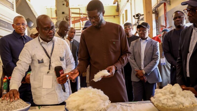 Vélingara : Diomaye Faye impulse une nouvelle dynamique à la filière coton avec la SODEFITEX