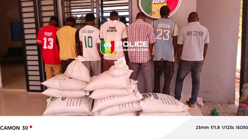 Bignona : Démantèlement d&rsquo;un réseau de vol et de recel de marchandises…