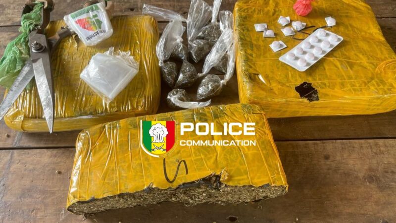 Trafic de drogue: l’OCRTIS frappe fort dans sept régions du Sénégal