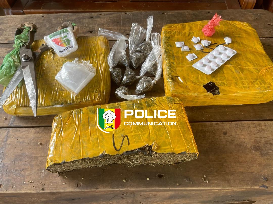 Trafic de drogue: l’OCRTIS frappe fort dans sept régions du Sénégal