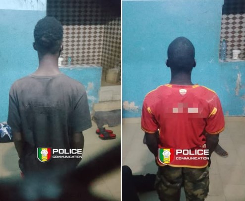 Castors: En route vers l’Arène nationale, ils agressent une jeune femme et lui volent son téléphone