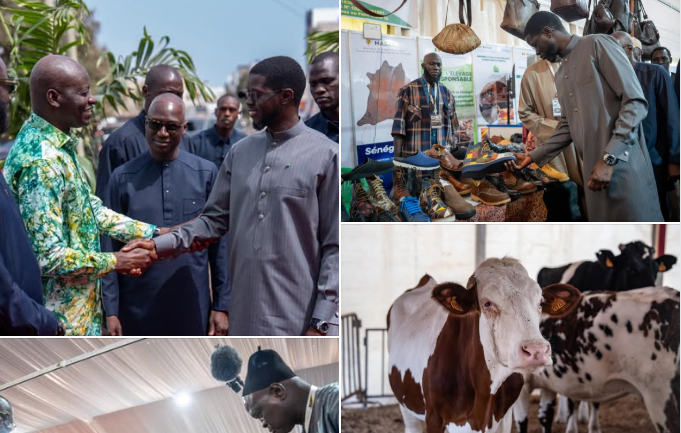 « Notre souveraineté alimentaire est à portée »: Diomaye Faye affiche ses ambitions