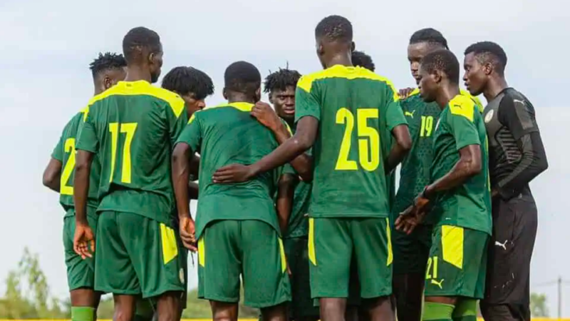 Sélections nationales : Lions et Lionnes, le Sénégal recompose ses bancs