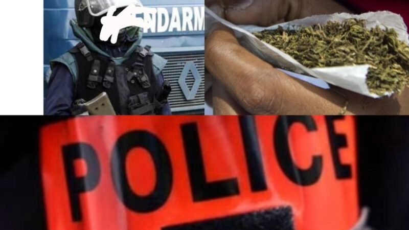 Yeumbeul : Un gendarme et un guide touristique interpellés avec 500 g de chanvre indien dissimulés dans un poulailler