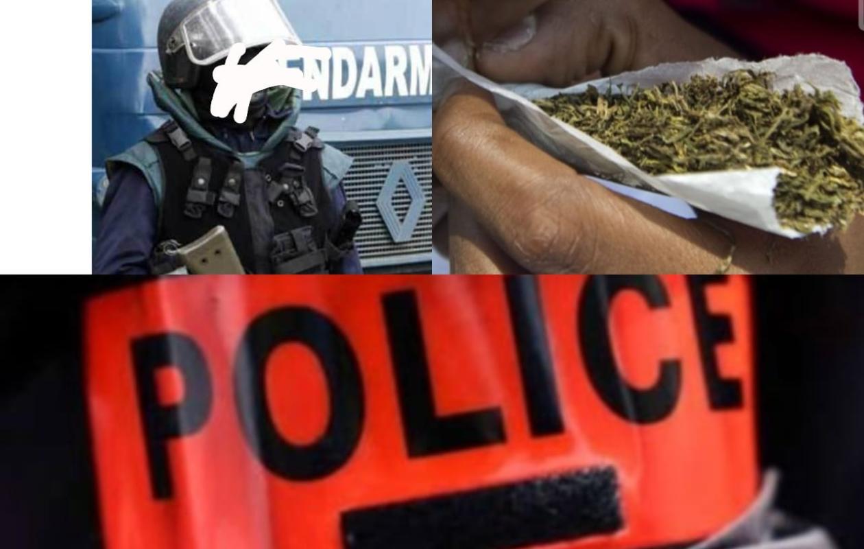 Yeumbeul : Un gendarme et un guide touristique interpellés avec 500 g de chanvre indien dissimulés dans un poulailler