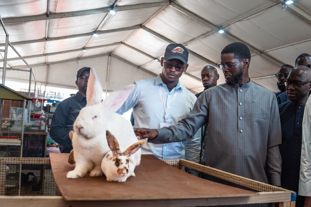 FIARA 2026 : Diomaye Faye plaide pour la transformation du secteur primaire