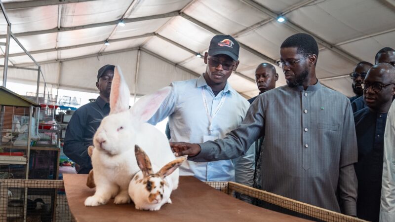 FIARA 2026 : Diomaye Faye plaide pour la transformation du secteur primaire