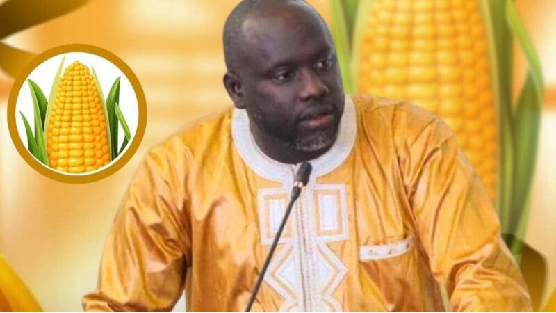 Réunion convoquée par Serigne Guèye Diop sur la ferraille : les précisions de Serigne Momar Sokhna …