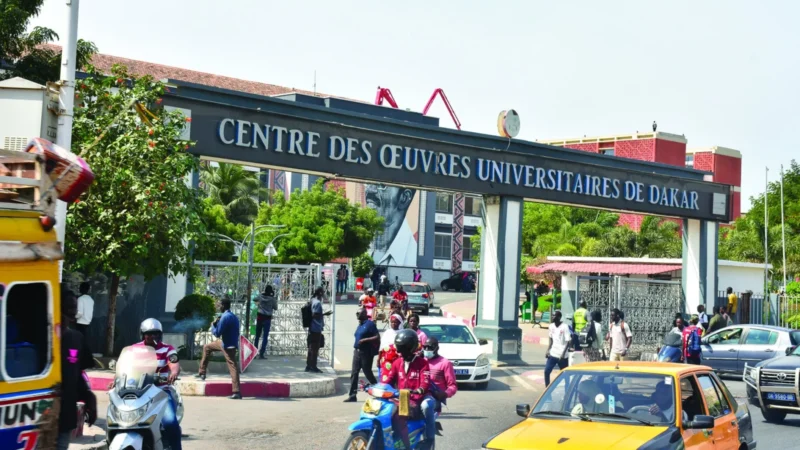 Falsification de notes à l’UCAD : un étudiant écroué, mandat d’arrêt international contre le cerveau…