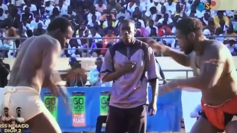 Papa Boy Djiné stoppe l’hémorragie : le lutteur arrache le nul face à Narou Sogas !