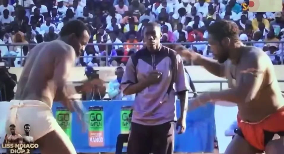 Papa Boy Djiné stoppe l’hémorragie : le lutteur arrache le nul face à Narou Sogas !