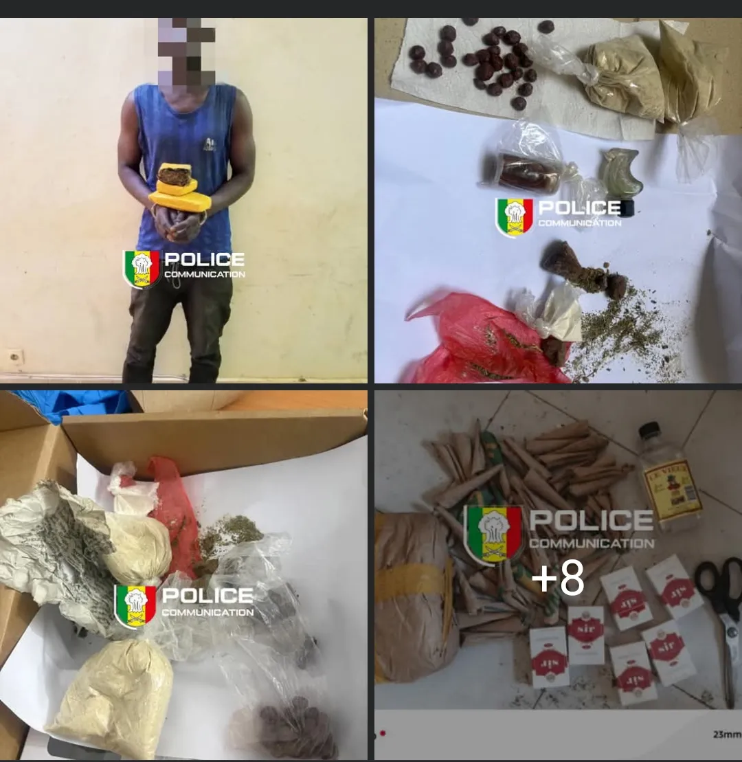 Trafic de drogue au Sénégal : les produits saisis lors du coup de filet de Kafountine