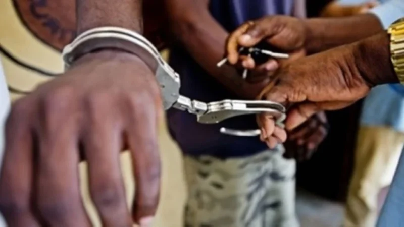 « Trois suspects, 150 blocs » : la saisie de chanvre indien qui mobilise la police à Rufisque