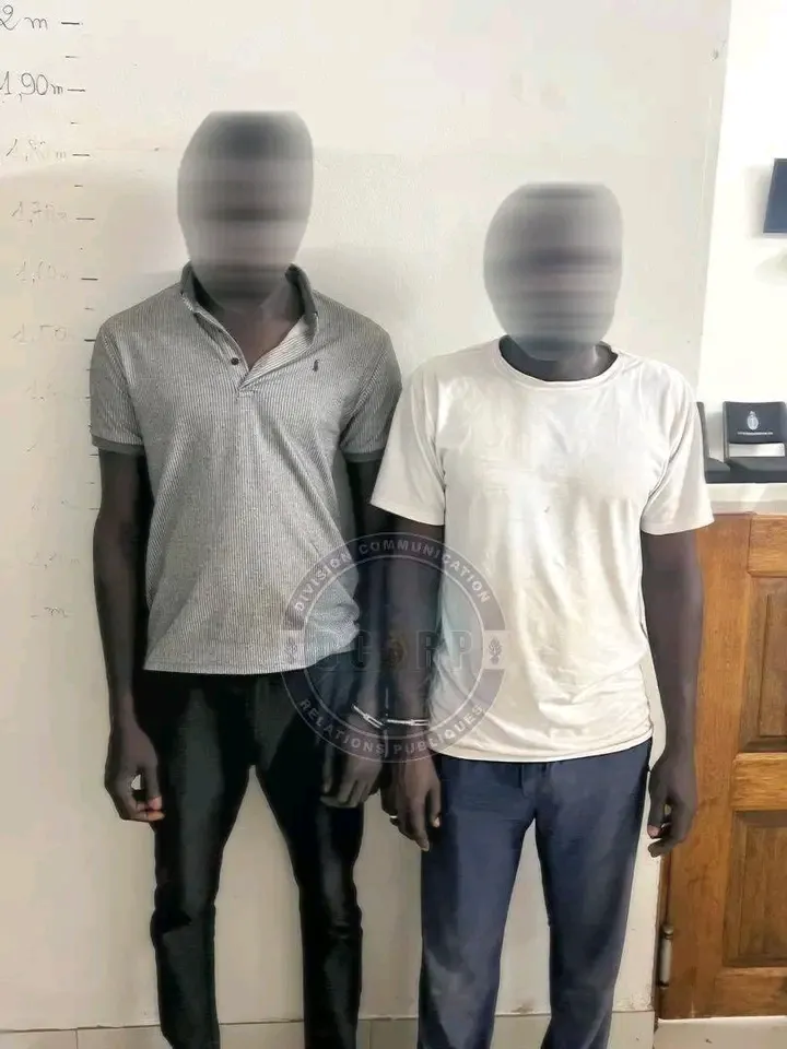 Trafic de faux billets à Dakar : la gendarmerie saisit des coupures estimées à plus de 46 millions de FCFA