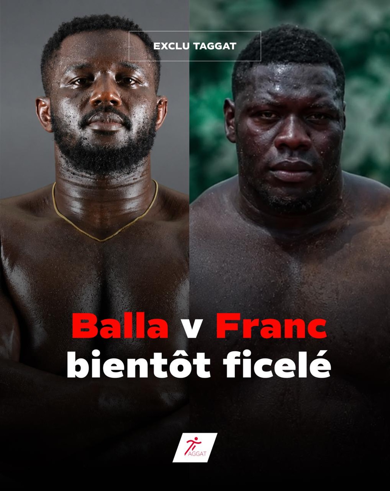 Le combat Franc – Balla Gaye 2 en très bonne voie pour novembre