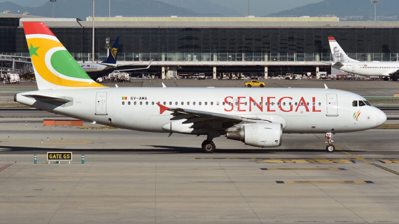 Hajj 2026 : une collision aviaire perturbe les vols d’Air Sénégal