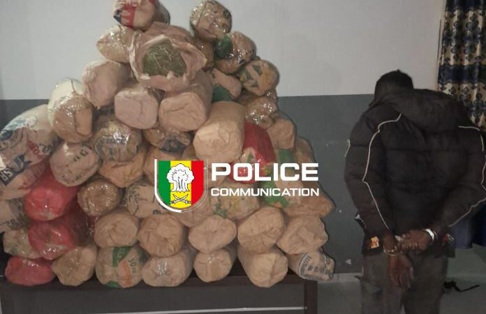 Sédhiou : 114 kg de chanvre indien saisis par l’OCRTIS après une course-poursuite