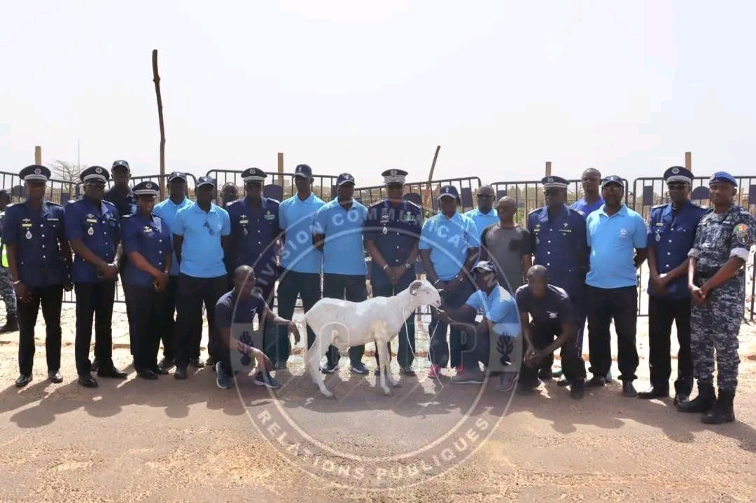 Gendarmerie nationale : à Mbao, un dispositif de moutons lancé pour la Tabaski 2026