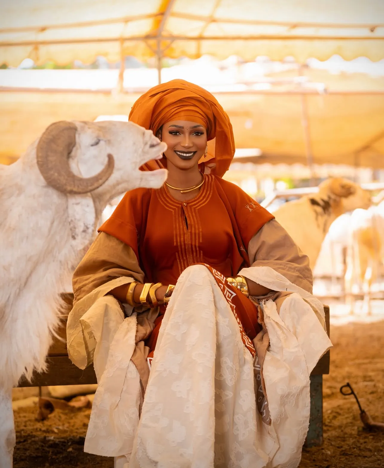 un shooting avec des moutons pour la Tabaski entre culture peule et réalité sociale un shooting avec des moutons pour la Tabaski entre culture peule et réalité sociale