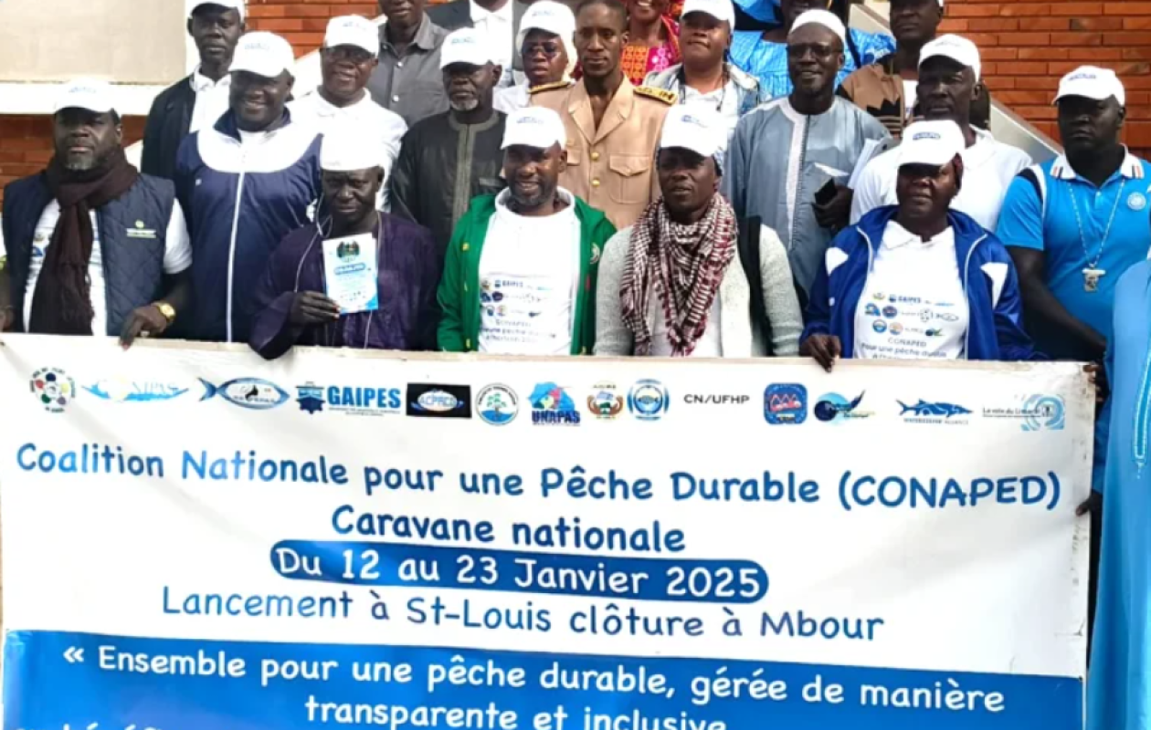 Pêche au Sénégal : la CONAPED juge l’ouverture à cinq navires « dangereuse »