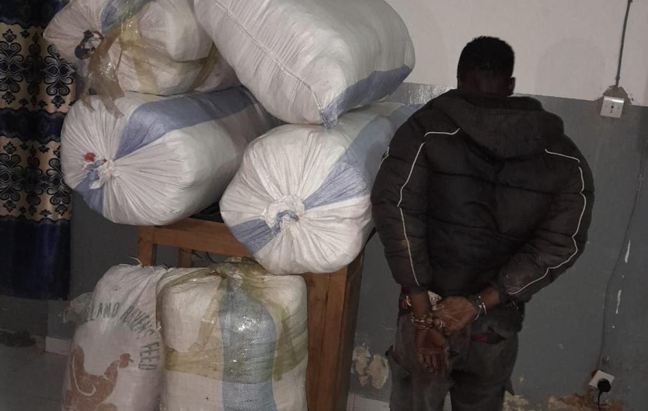 À Sédhiou, la brigade régionale des stupéfiants saisit 114 kg de chanvre indien